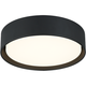 Ezra 13" Ceiling Mount