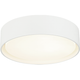 Ezra 13" Ceiling Mount