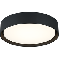 Ezra 16" Ceiling Mount