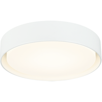 Ezra 16" Ceiling Mount