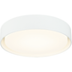 Ezra 16" Ceiling Mount