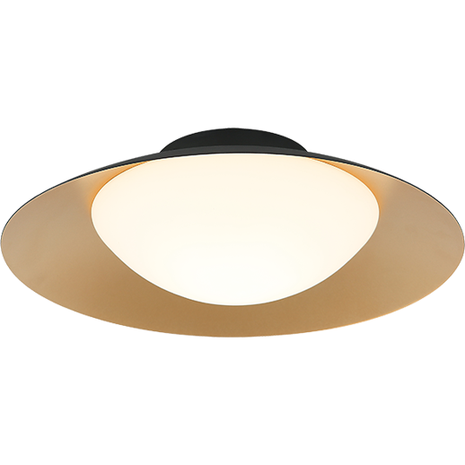 Caravon 1-Light Ceiling Mount