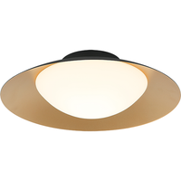 Caravon 1-Light Ceiling Mount