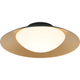 Caravon 1-Light Ceiling Mount