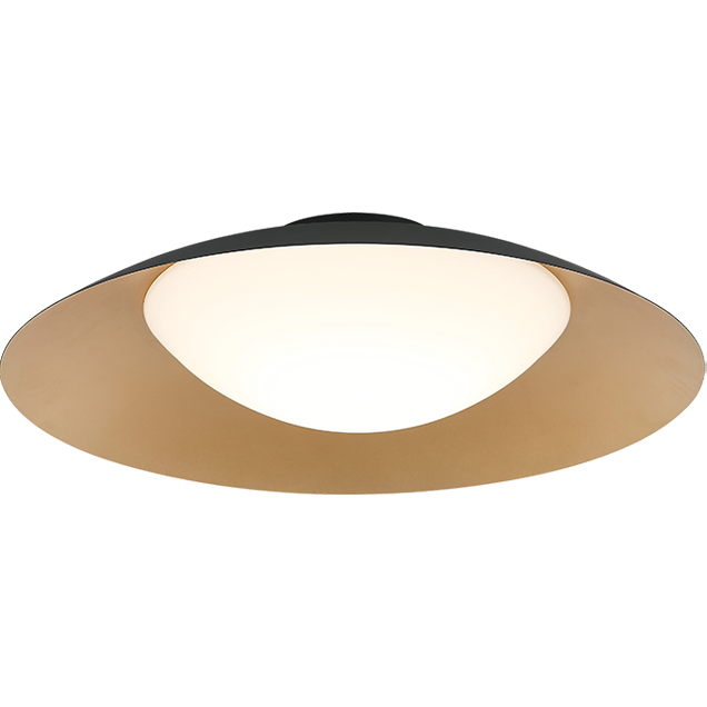 Caravon 1-Light Ceiling Mount