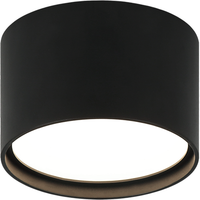 Caravon 1-Light Ceiling Mount