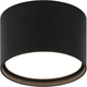 Caravon 1-Light Ceiling Mount