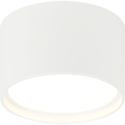 Caravon 1-Light Ceiling Mount