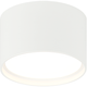 Caravon 1-Light Ceiling Mount