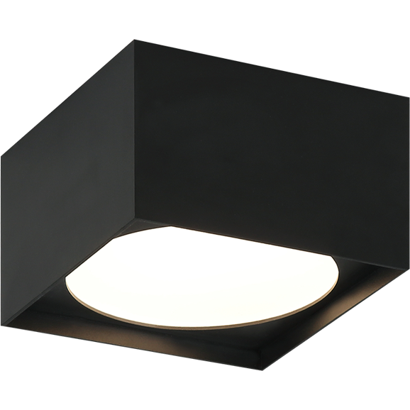 Caravon 1-Light Ceiling Mount