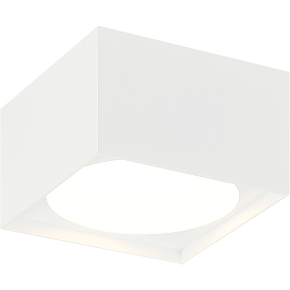 Caravon 1-Light Ceiling Mount