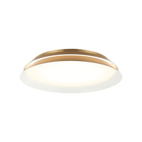 Dahlia 1-Light Wall Sconce