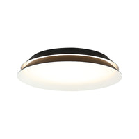 Dahlia 1-Light Wall Sconce