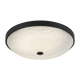 M19316MB