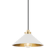 MDS1401-AGB/OW