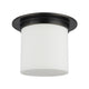 FM360118UBOP
