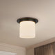 FM360118UBOP