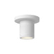 Nordic 3" (2" Dia.) LED Exterior Ceiling