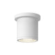 Nordic 4" (3" Dia.) LED Exterior Ceiling