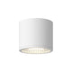 Nordic 4" (5" Dia.) LED Exterior Ceiling