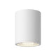 Nordic 6" (5" Dia.) LED Exterior Ceiling
