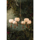 Niya 6-Light Chandelier