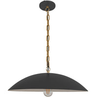 Ofelia 1-Light Pendant