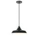 OLY-121P-MB