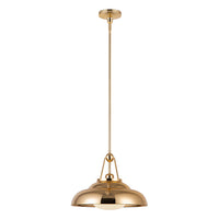 Palmetto 14" 1-Light Pendant