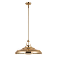 Palmetto 20" 1-Light Pendant