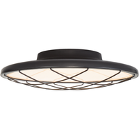 Dot 13" Caged Flush Mount