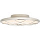 Dot 13" Caged Flush Mount