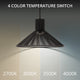 Cappe 21" LED Pendant