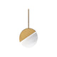 Crescent 10" LED Pendant