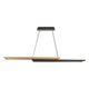 Double Entendre 42" LED Linear Pendant