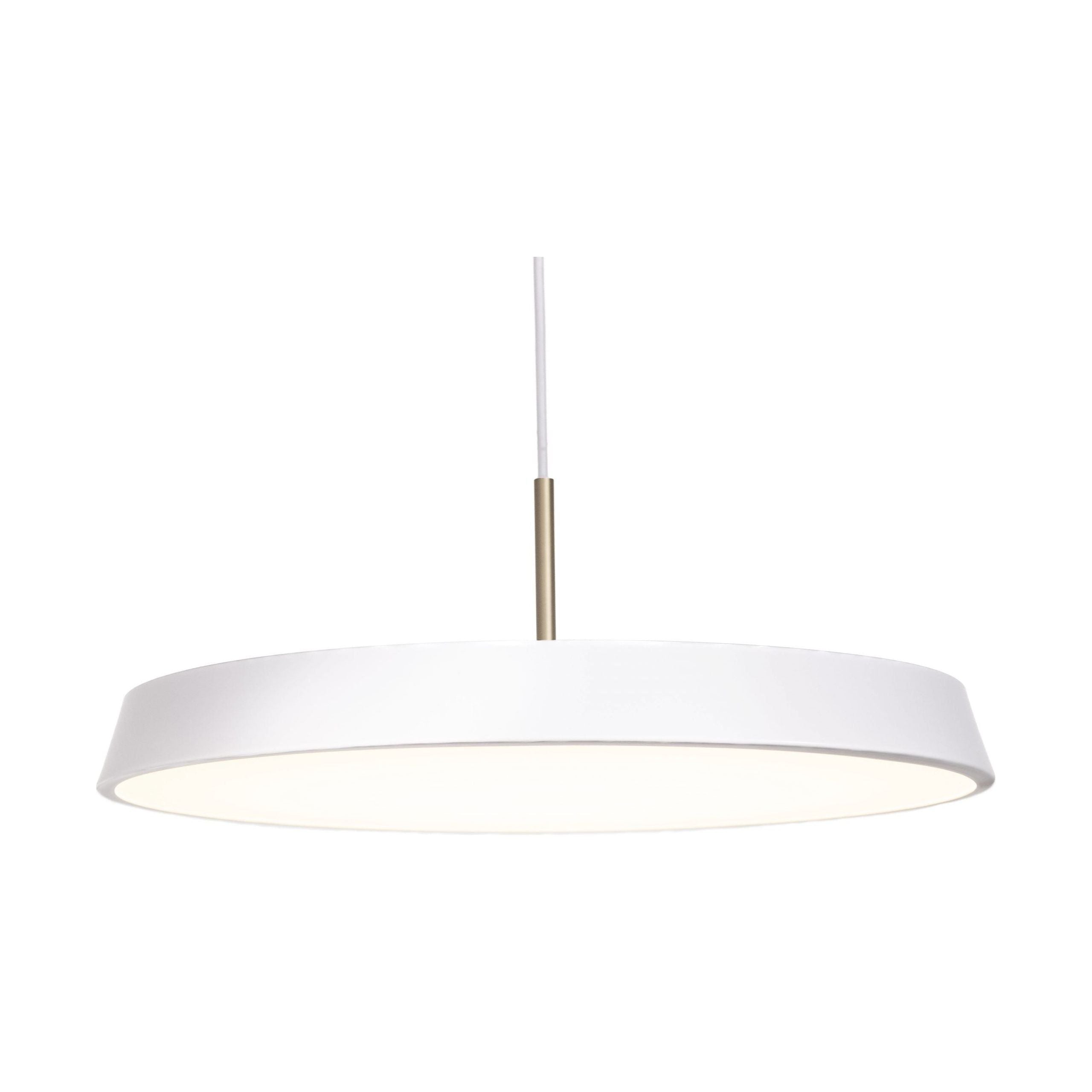 Leeds LED 20" Pendant