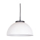 PD8811/WHBK