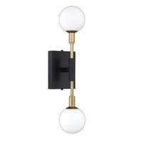 Ambience 2-Light Wall Sconce