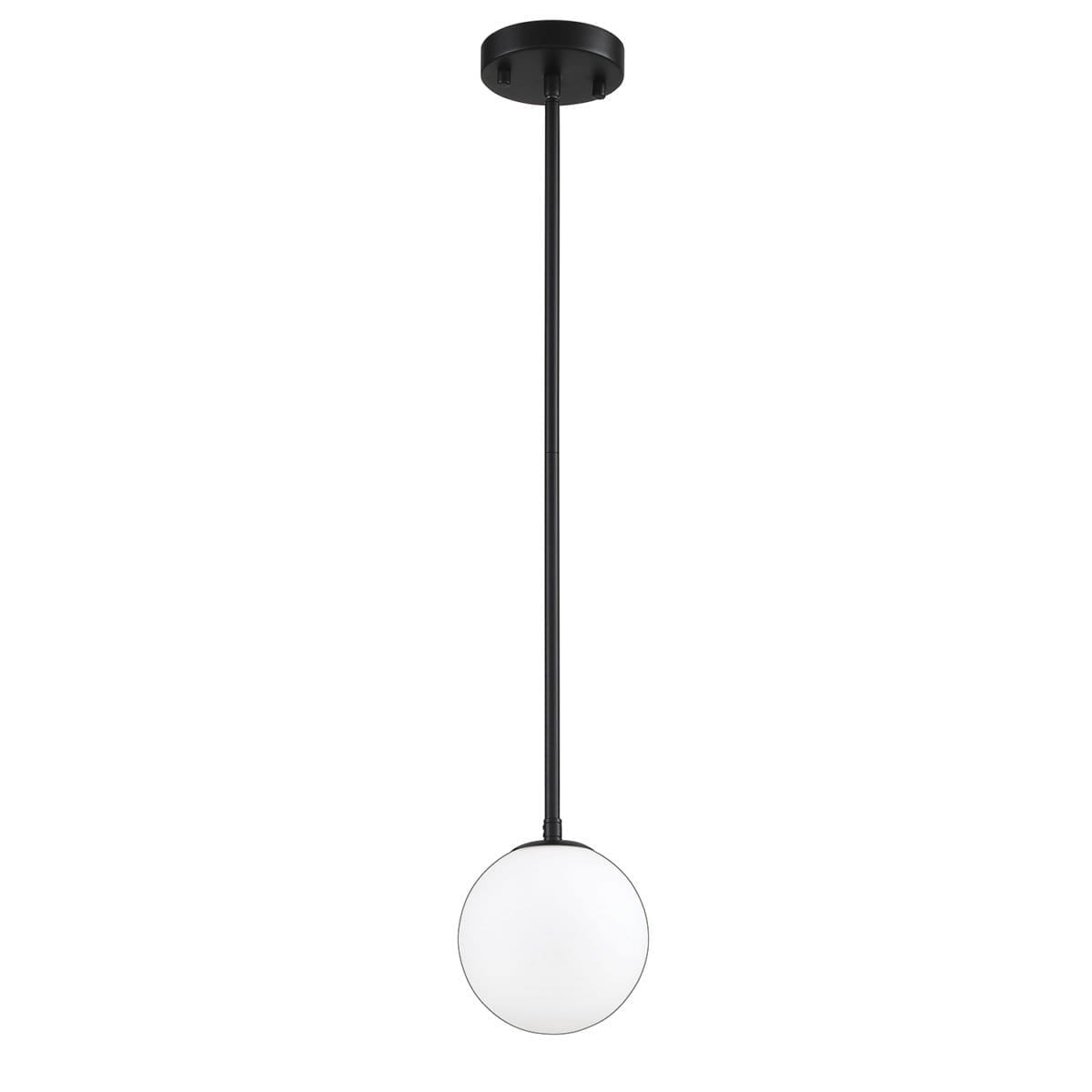 PF101-1L-BLK