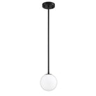 PF101-1L-BLK