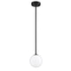 PF101-1L-BLK