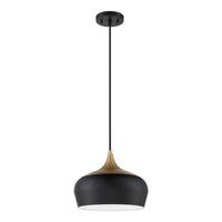 Orian 1-Light Pendant