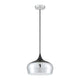 Orian 1-Light Pendant