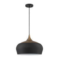 Orian Grande 1-Light Pendant