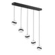 PF145-5LBR-BLK