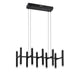 PF205-20LPE-BLK