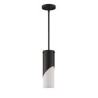 Callisto 1-Light Pendant