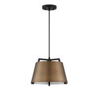 Sky 1-Light Pendant