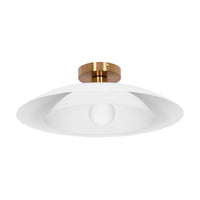 Pima 1-Light Semi-Flush Mount