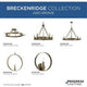Breckenridge 1-Light Wall Bracket